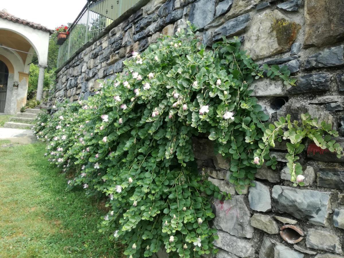 شقة Balcone Dei Limoni نيسّو المظهر الخارجي الصورة